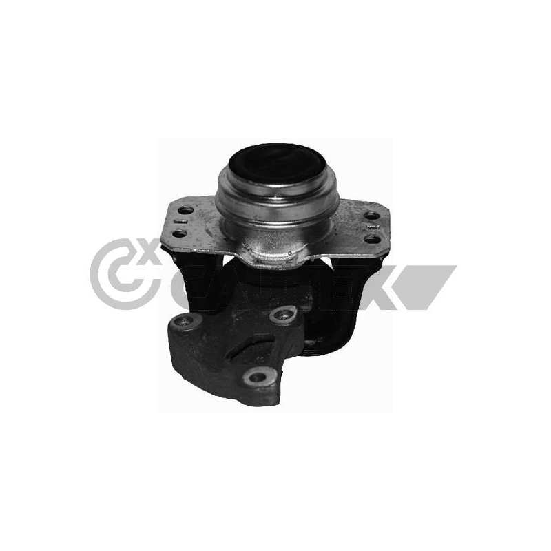 Supporto motore - CAUTEX GOMMA E PARTI MOTORE