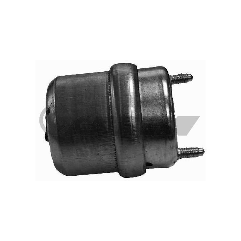 Supporto motore - CAUTEX GOMMA E PARTI MOTORE