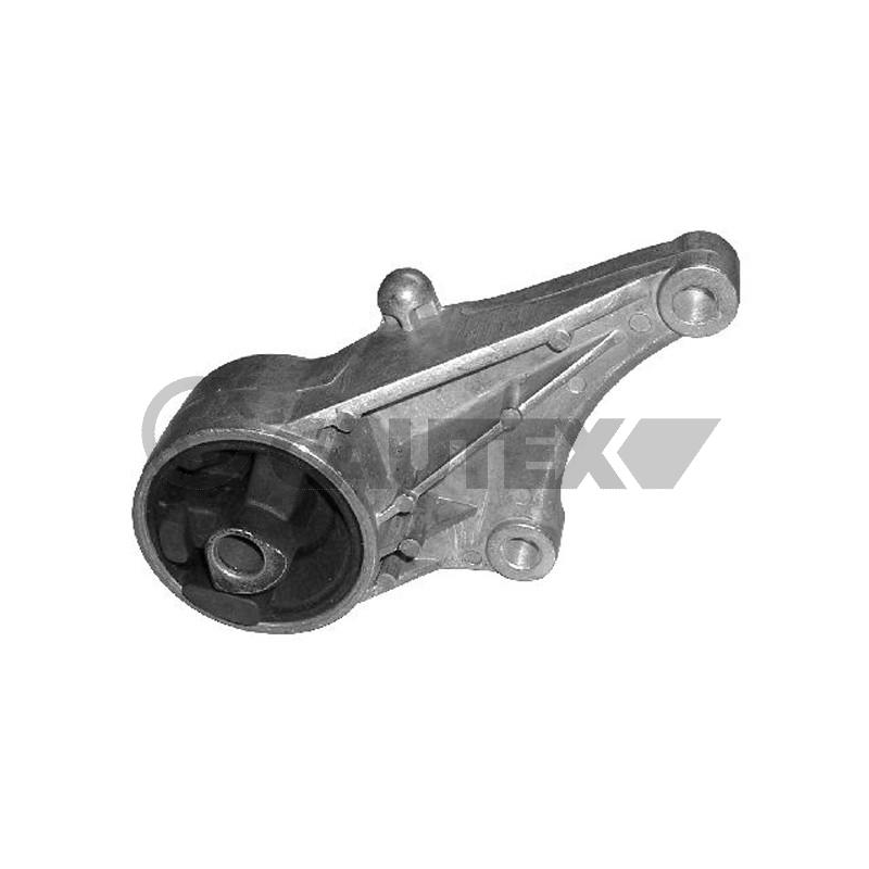 Supporto motore - CAUTEX GOMMA E PARTI MOTORE