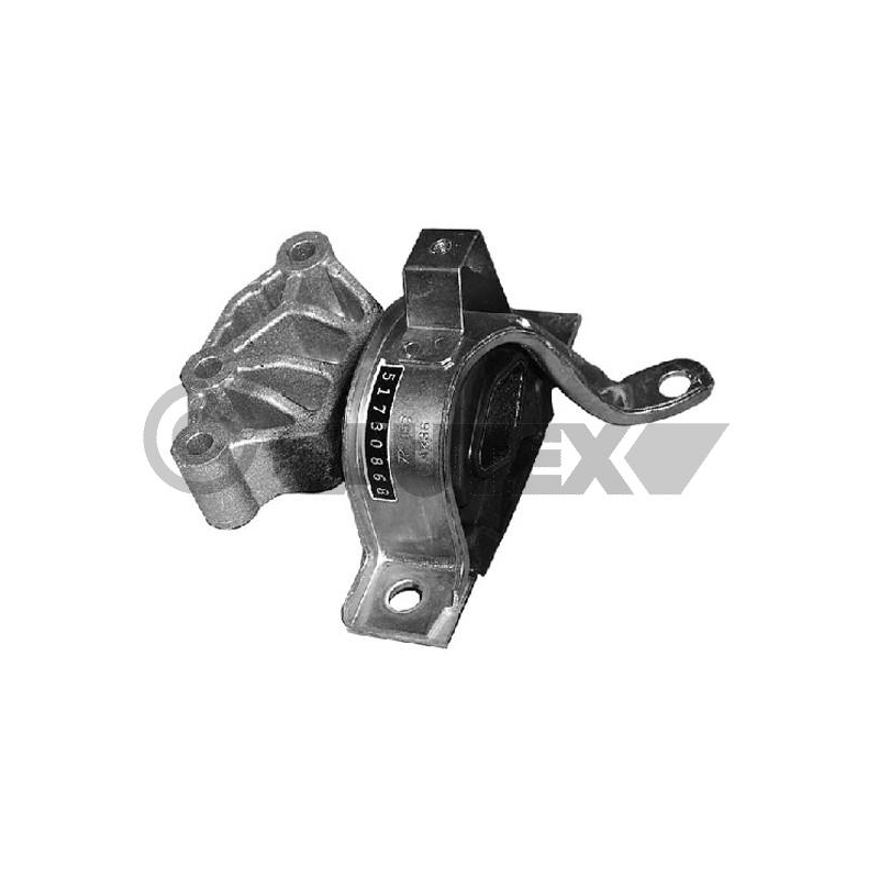 Supporto motore - CAUTEX GOMMA E PARTI MOTORE