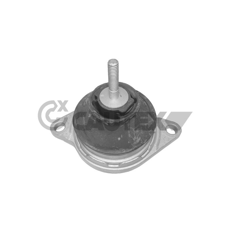 Supporto motore - CAUTEX GOMMA E PARTI MOTORE