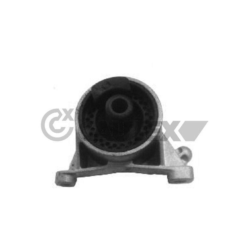 Supporto motore - CAUTEX GOMMA E PARTI MOTORE