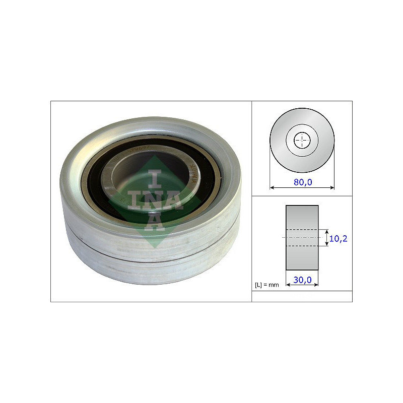 Tendicinghia distribuzione - INA