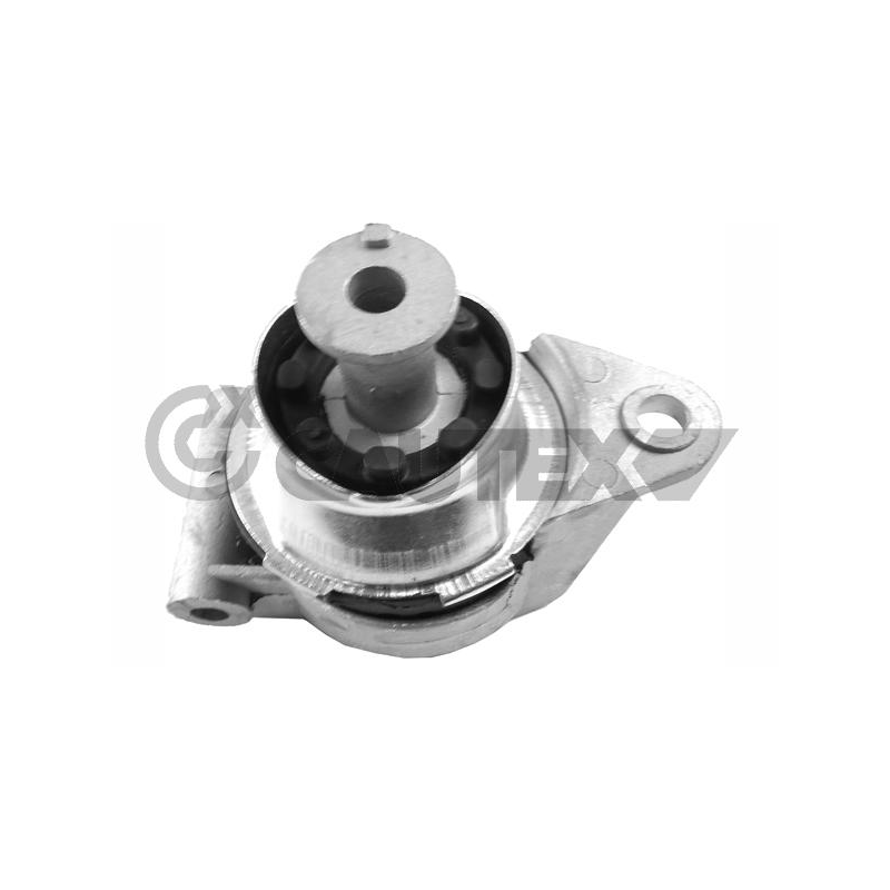 Supporto motore - CAUTEX GOMMA E PARTI MOTORE