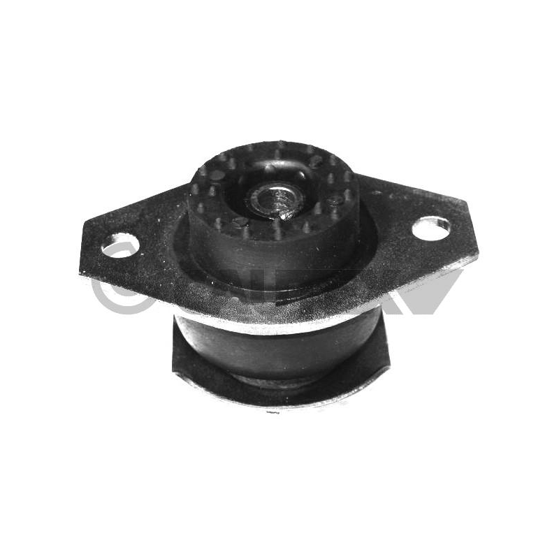 Supporto motore - CAUTEX GOMMA E PARTI MOTORE