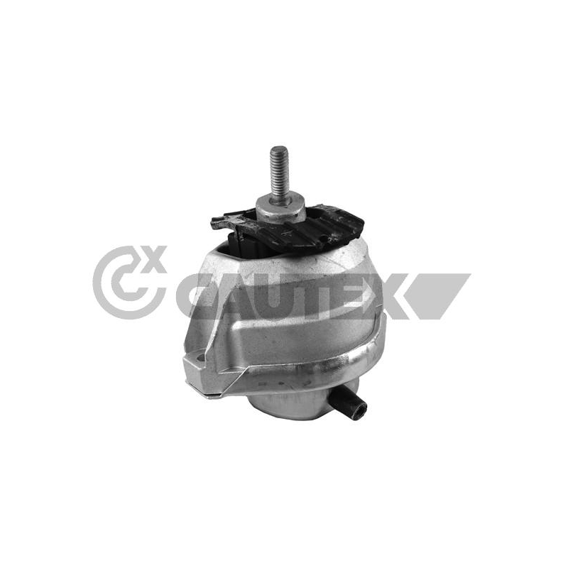 Supporto motore - CAUTEX GOMMA E PARTI MOTORE