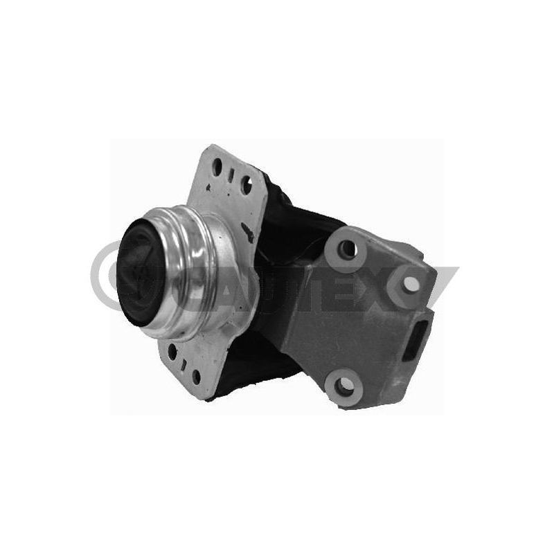 Supporto motore - CAUTEX GOMMA E PARTI MOTORE