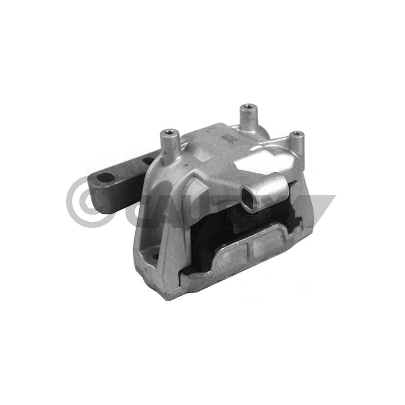 Supporto motore - CAUTEX GOMMA E PARTI MOTORE