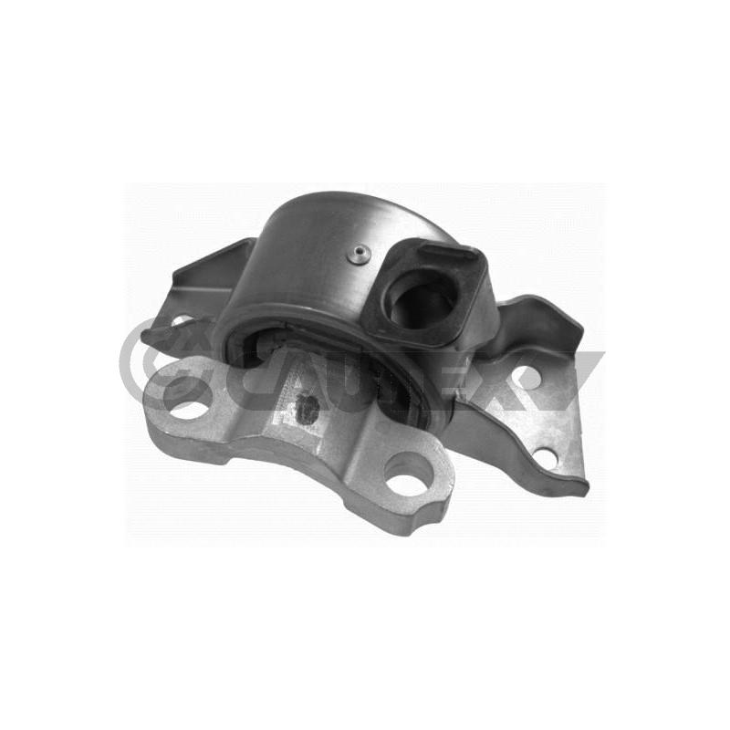 Supporto motore - CAUTEX GOMMA E PARTI MOTORE