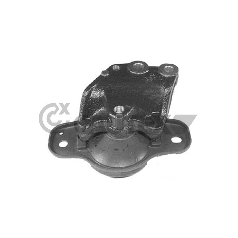 Supporto motore - CAUTEX GOMMA E PARTI MOTORE