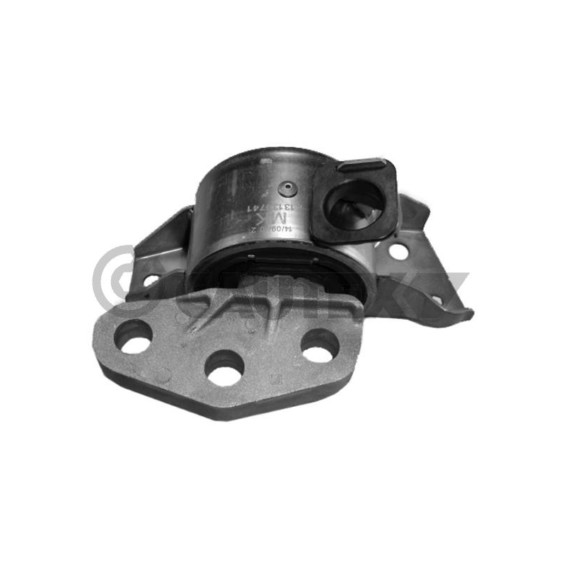 Supporto motore - CAUTEX GOMMA E PARTI MOTORE