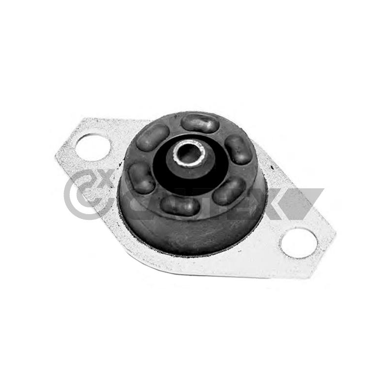 Supporto motore - CAUTEX GOMMA E PARTI MOTORE