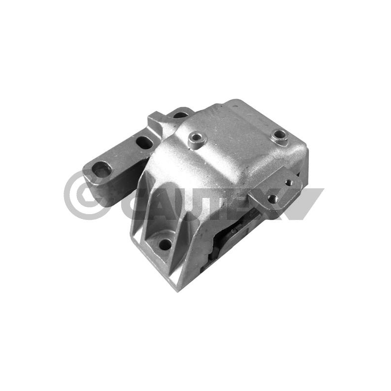 Supporto motore - CAUTEX GOMMA E PARTI MOTORE