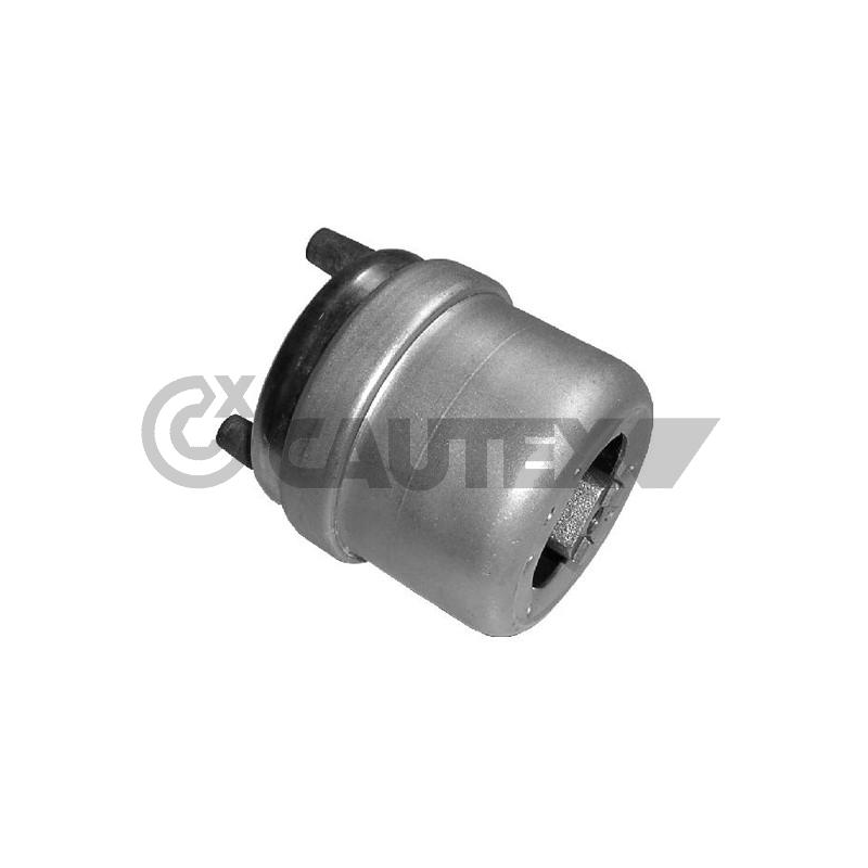 Supporto motore - CAUTEX GOMMA E PARTI MOTORE