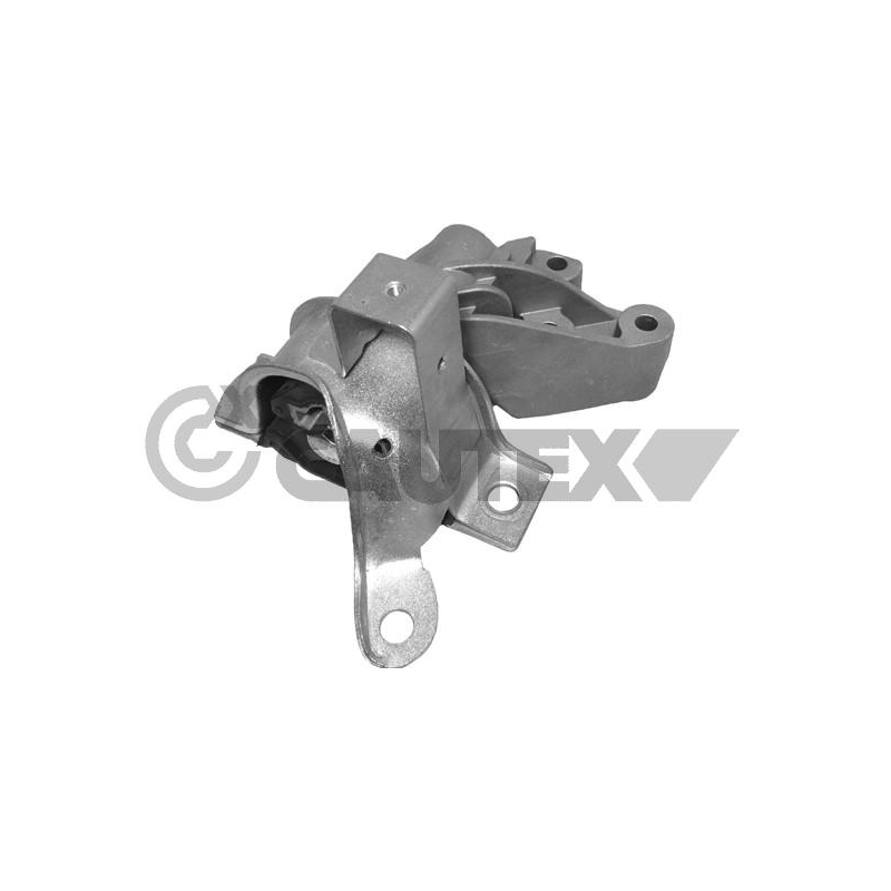 Supporto motore - CAUTEX GOMMA E PARTI MOTORE