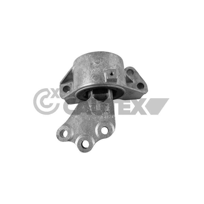 Supporto motore - CAUTEX GOMMA E PARTI MOTORE