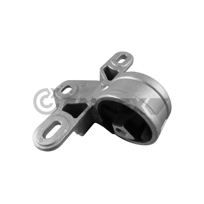 Supporto motore - CAUTEX GOMMA E PARTI MOTORE