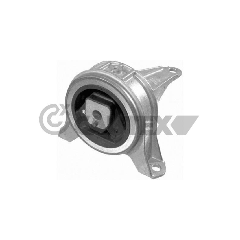 Supporto motore - CAUTEX GOMMA E PARTI MOTORE