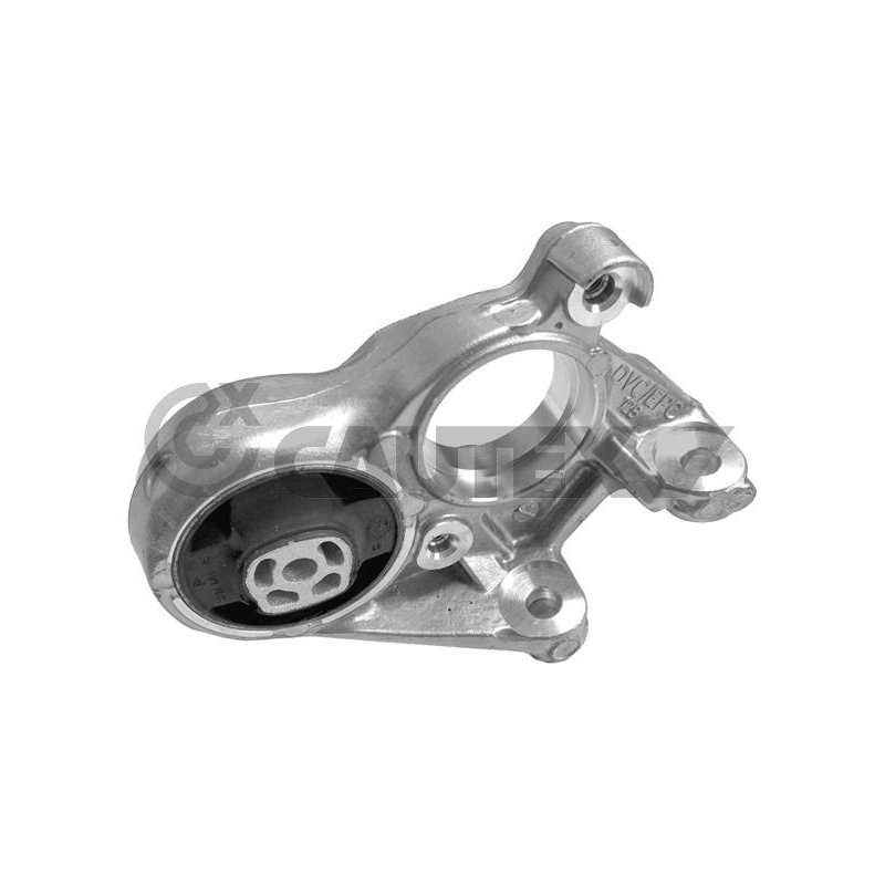 Supporto motore - CAUTEX GOMMA E PARTI MOTORE