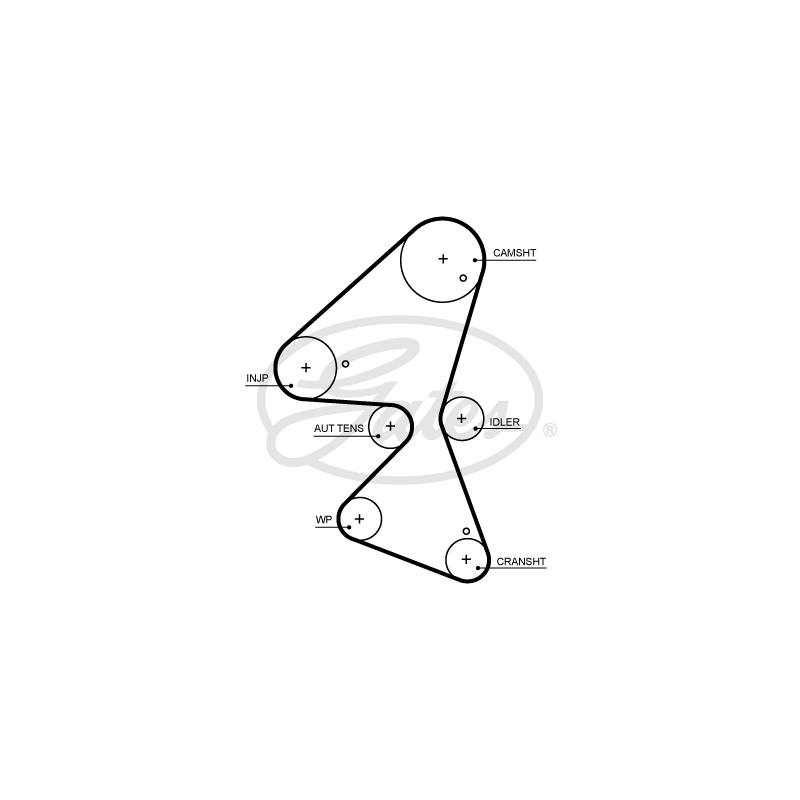 Cinghia/catena distribuzione - GATES