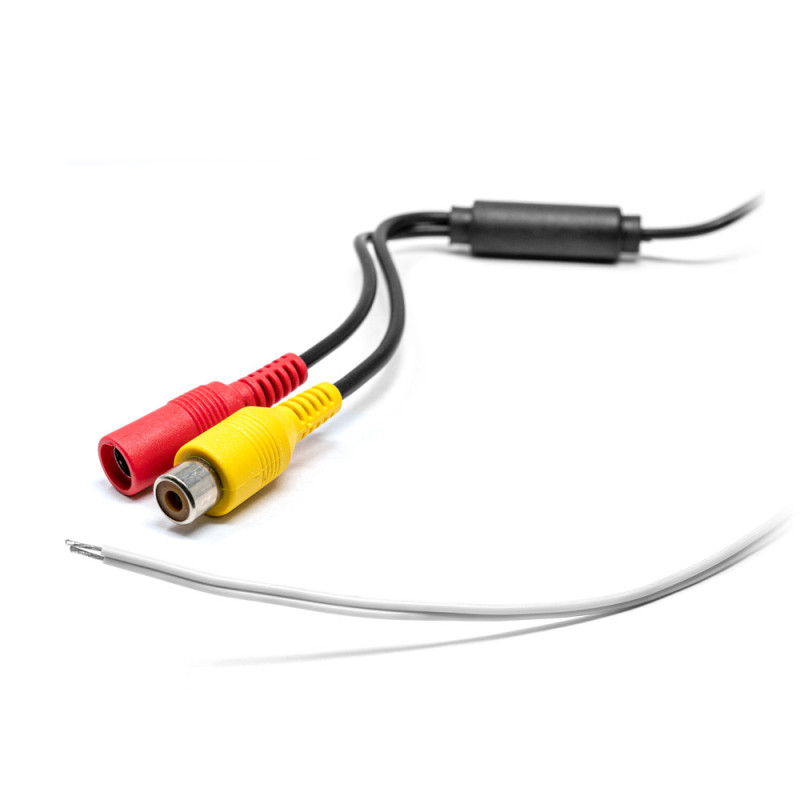 RETROCAMERA DA PLAFONIERA TARGA CON LED PER FORD