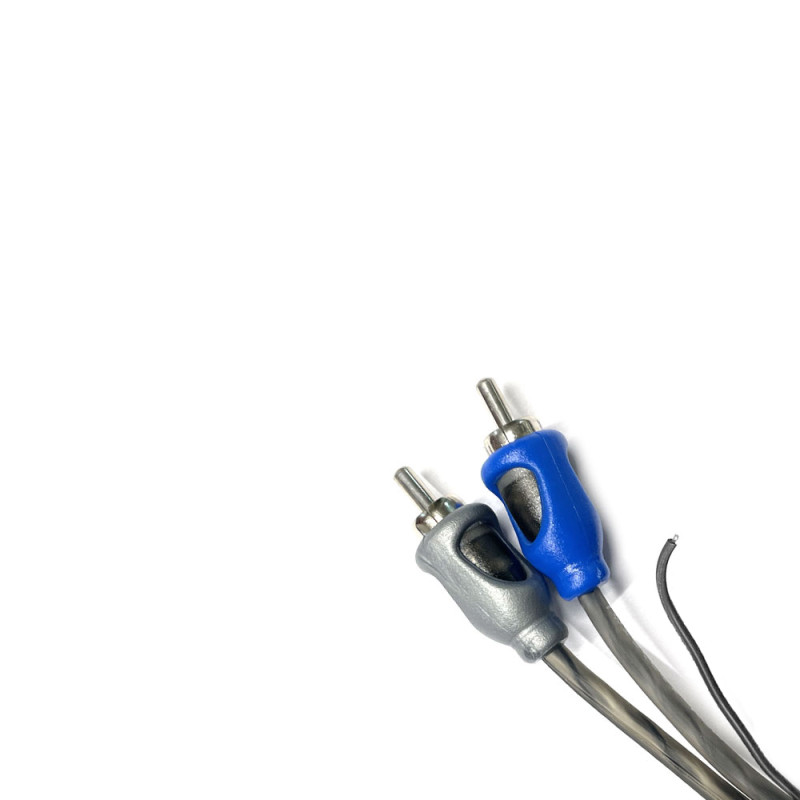 PROLUNGA RCA CON CONSENSO 350 CM