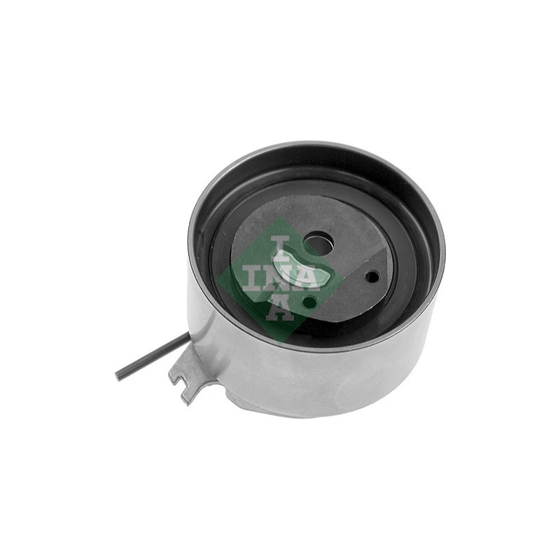 Tendicinghia distribuzione - INA