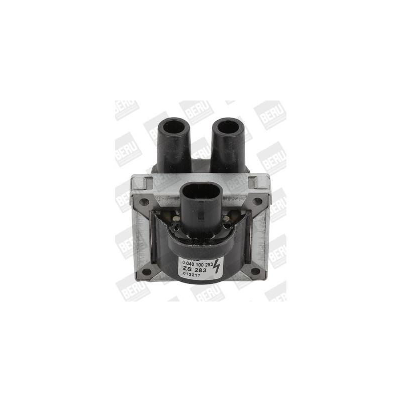 Bobina accensione - BORG WARNER