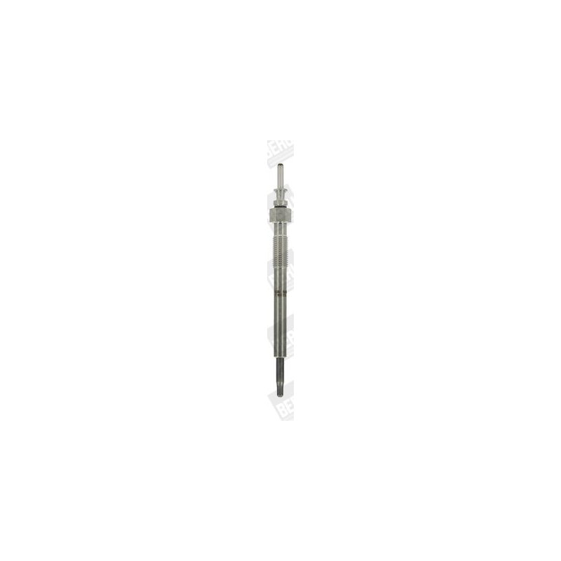 Candeletta - BORG WARNER