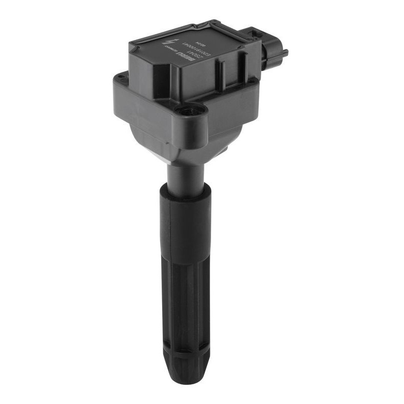 Bobina accensione - BORG WARNER