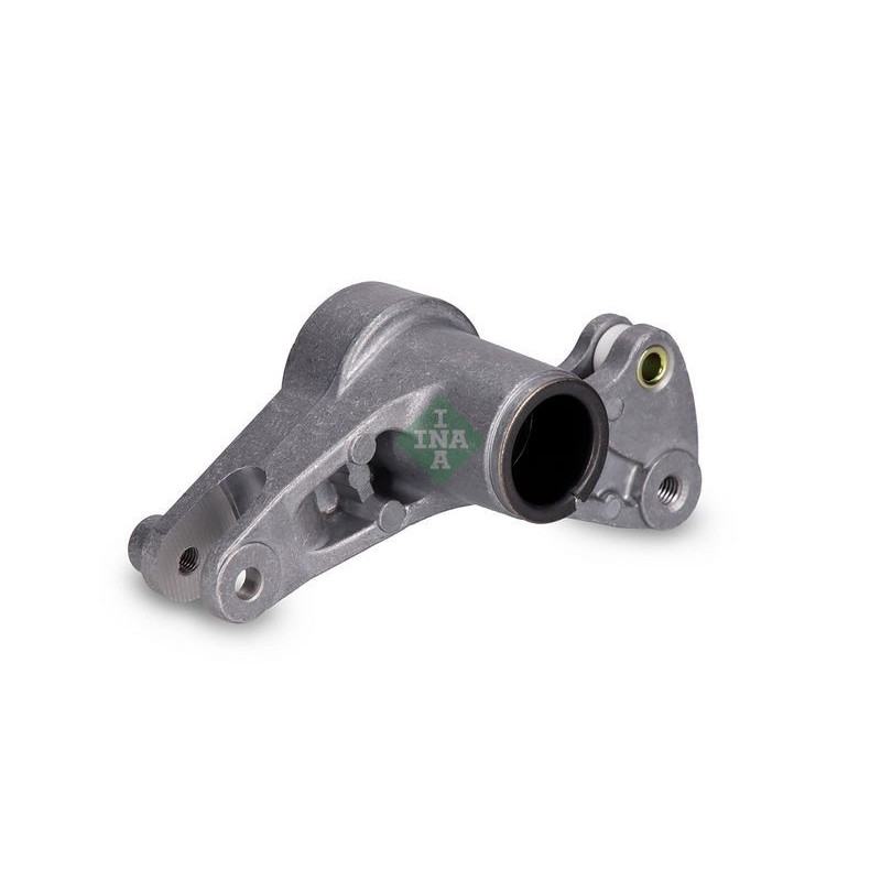 Tendicinghia trapezoidale - INA