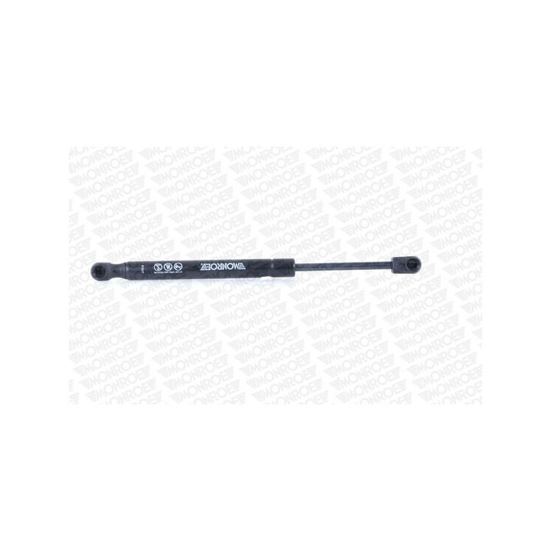 Filtro carburante - MONROE