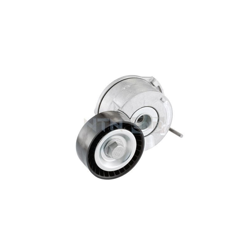 Tendicinghia trapezoidale - SNR