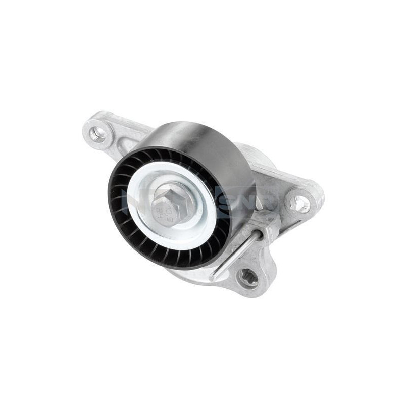 Tendicinghia trapezoidale - SNR