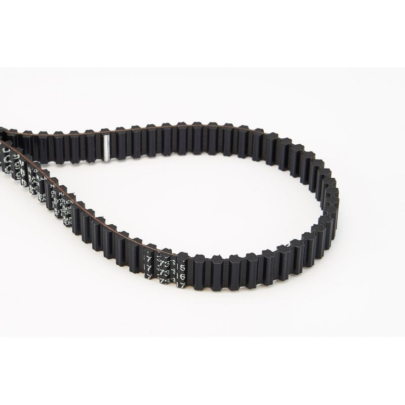 Cinghia/catena distribuzione - CONTITECH