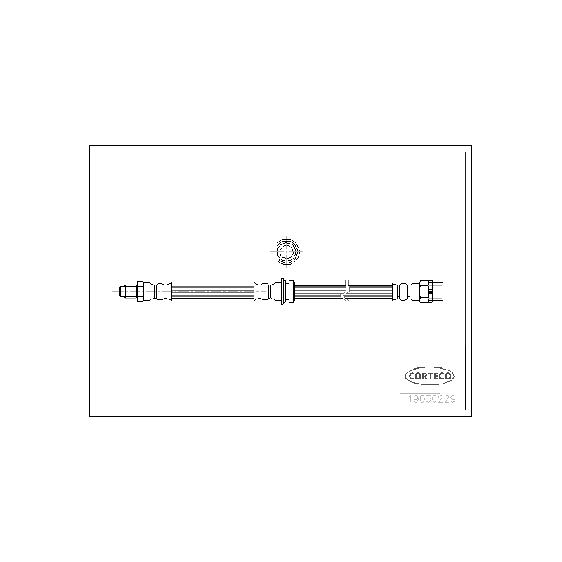 Flessibile freno asse posteriore - CORTECO