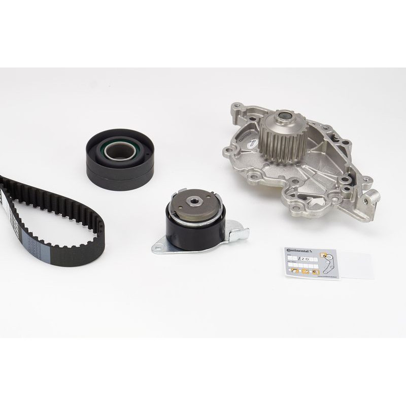 Cinghia/catena distribuzione - CONTITECH