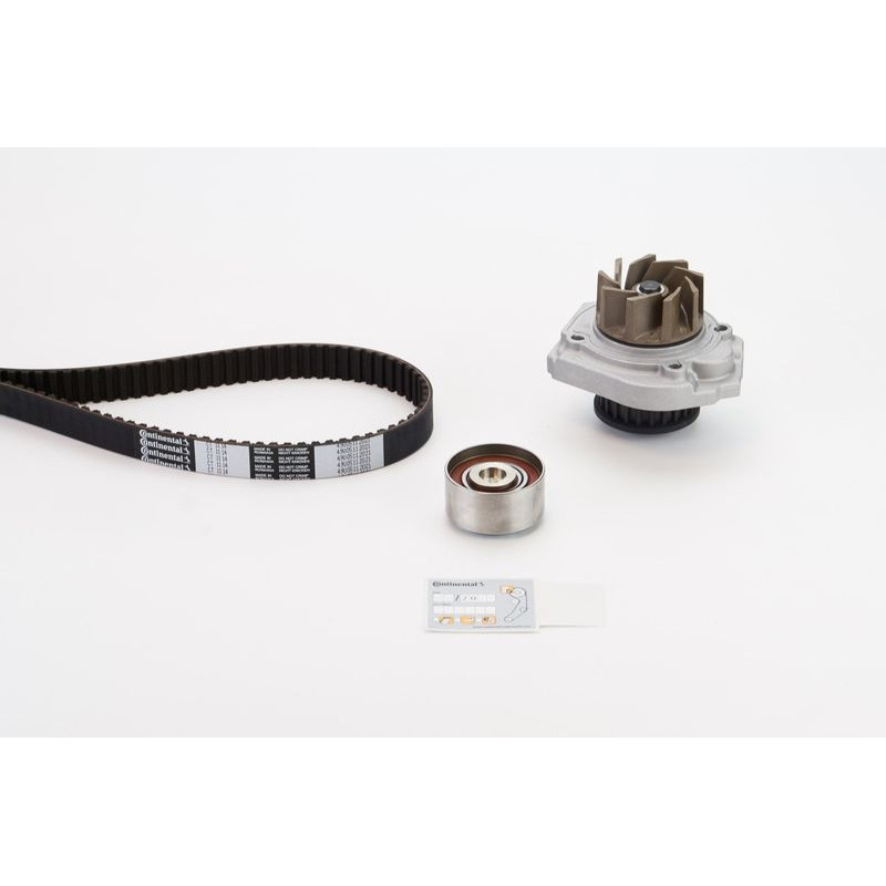 Cinghia/catena distribuzione - CONTITECH