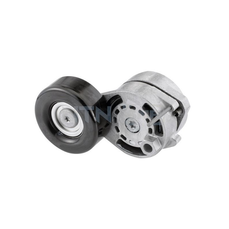 Tendicinghia trapezoidale - SNR