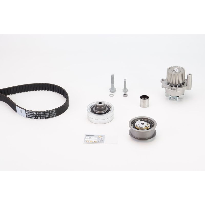 Cinghia/catena distribuzione - CONTITECH