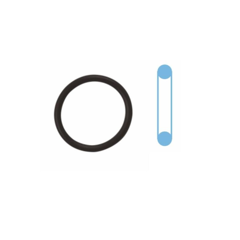 Tendicinghia trapezoidale - CORTECO