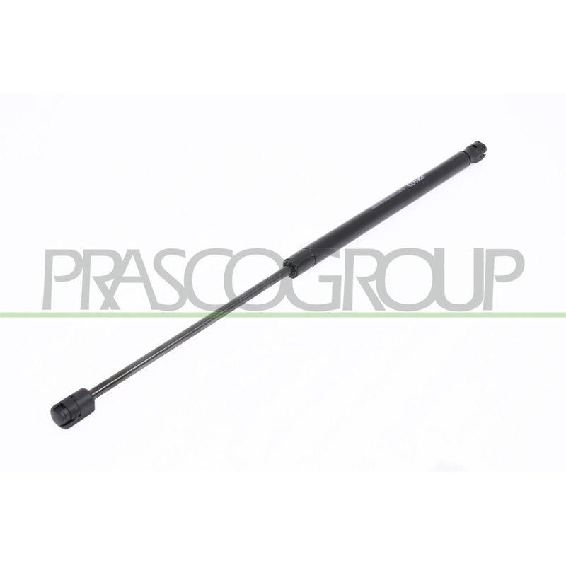 Pistoncino ammortizzatore - PRASCO