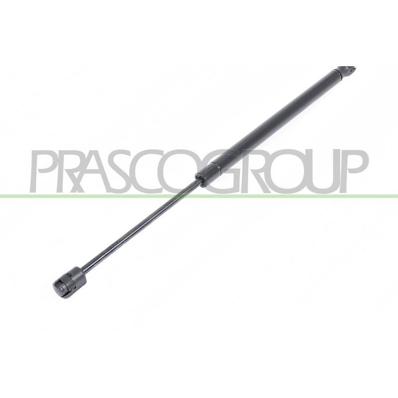 Pistoncino ammortizzatore - PRASCO