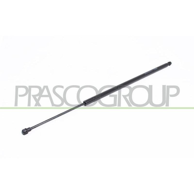 Pistoncino ammortizzatore - PRASCO