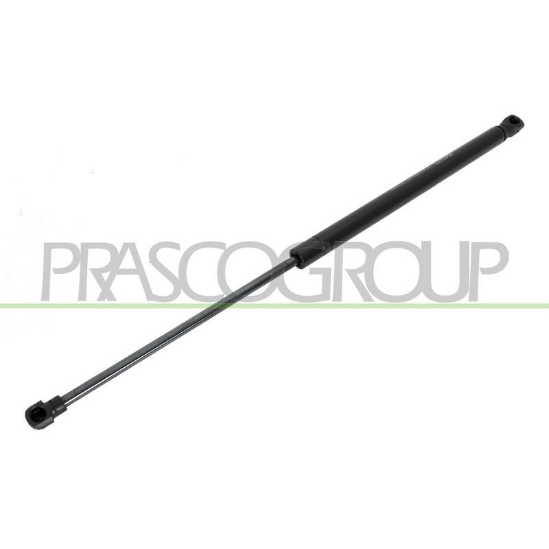 Pistoncino ammortizzatore - PRASCO