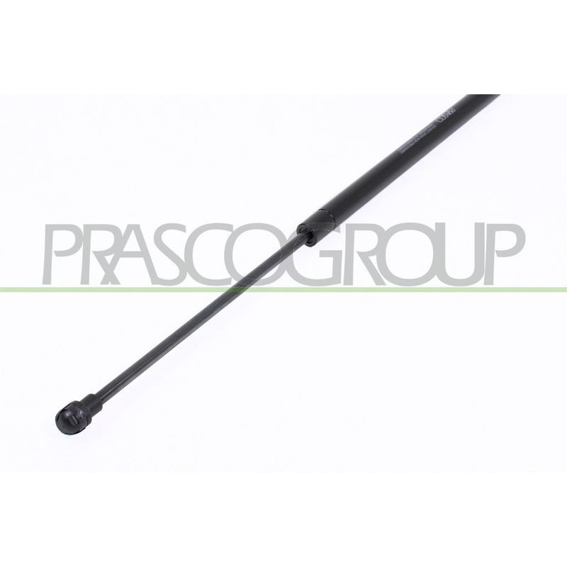 Pistoncino ammortizzatore - PRASCO