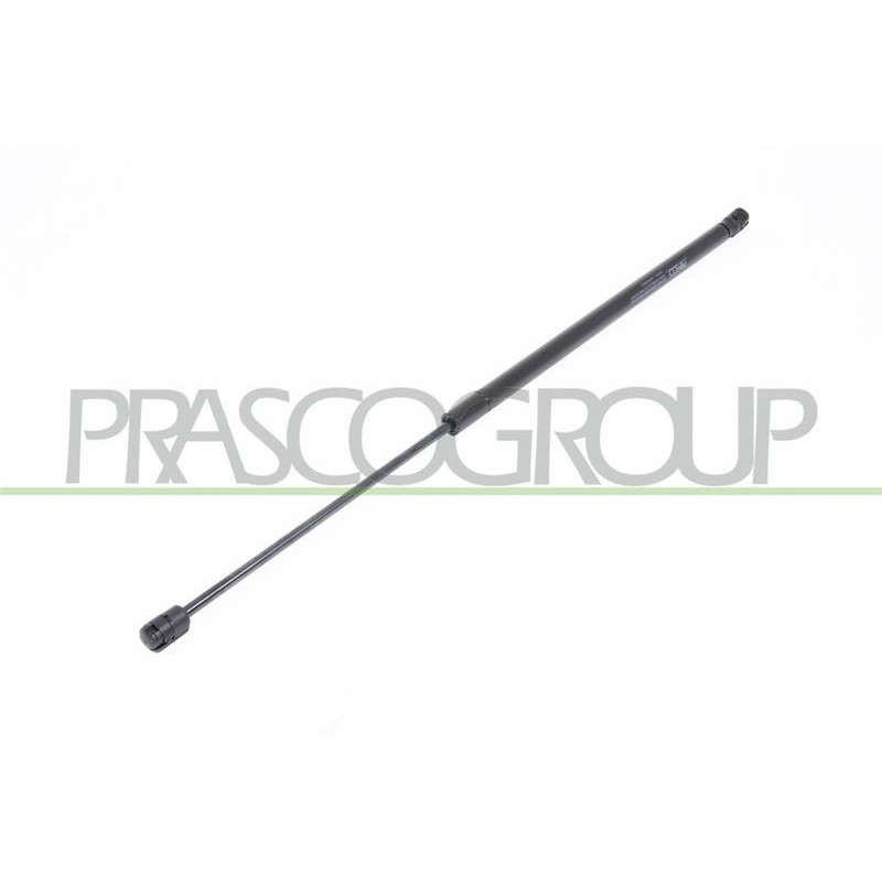 Pistoncino ammortizzatore - PRASCO