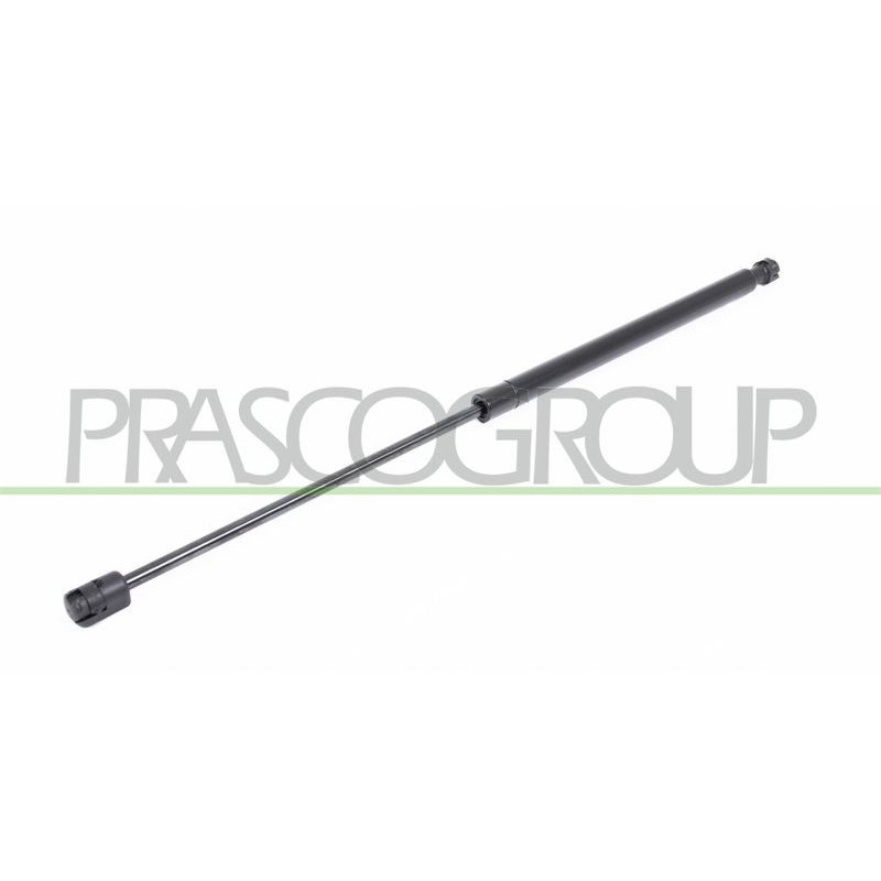 Pistoncino ammortizzatore - PRASCO