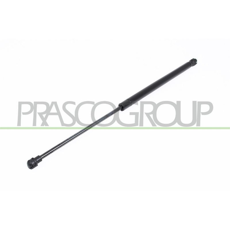 Pistoncino ammortizzatore - PRASCO