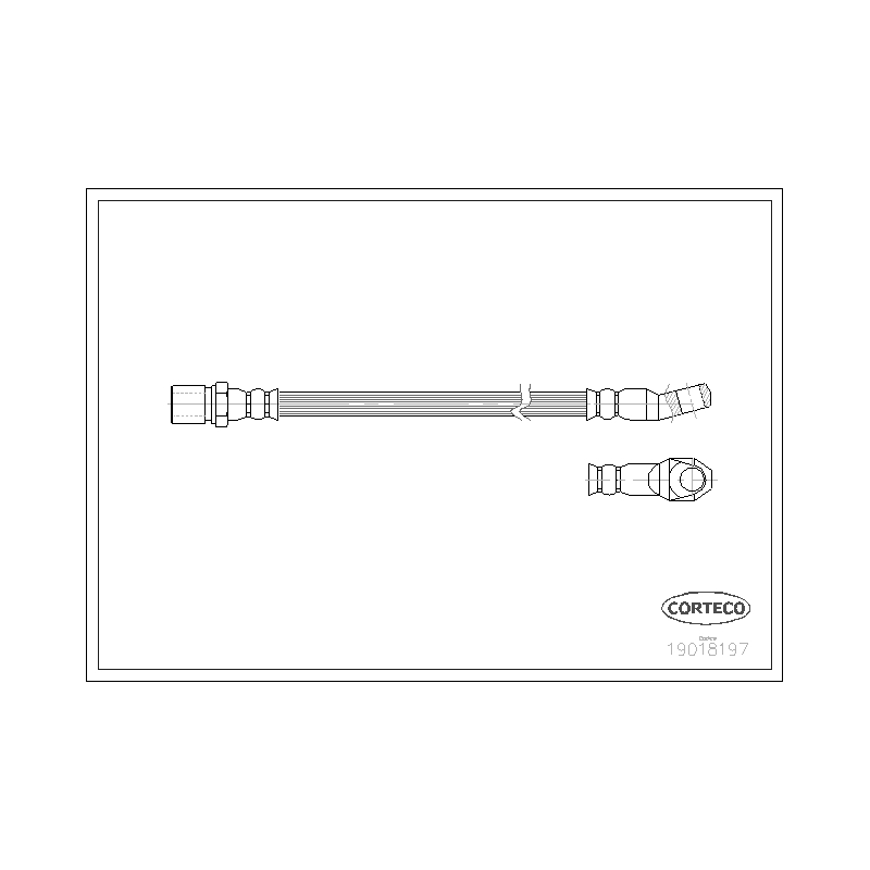 Flessibile freno asse anteriore - CORTECO
